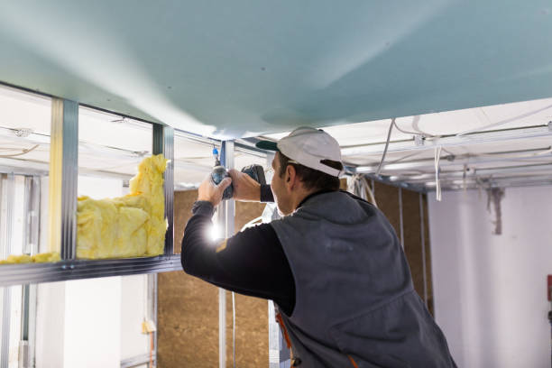 Best Insulation Installation Services in Baileys Crossroads, VA