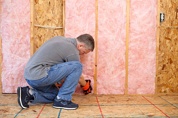 Best Types of Insulation in Baileys Crossroads, VA