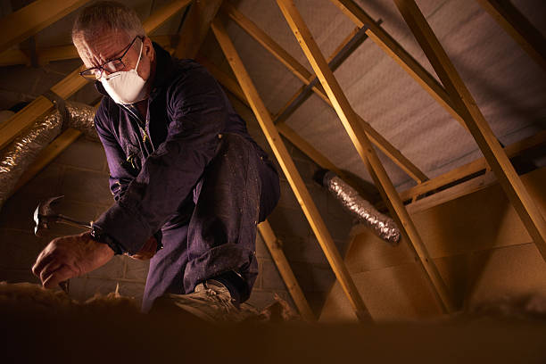 Best Types of Insulation in Baileys Crossroads, VA